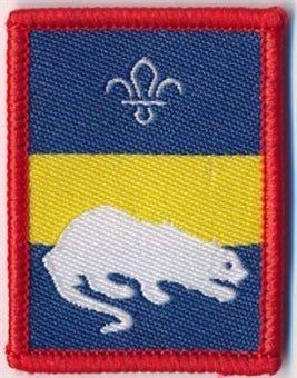 Patrol Section Badges