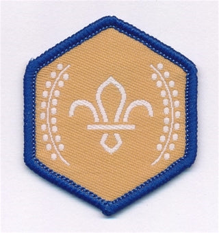 Chief Scout Awards