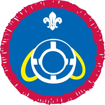 Scout Activity Badges