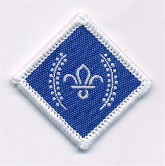 Chief Scout Awards