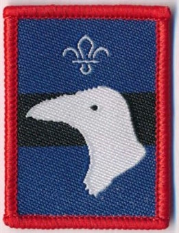 Patrol Section Badges