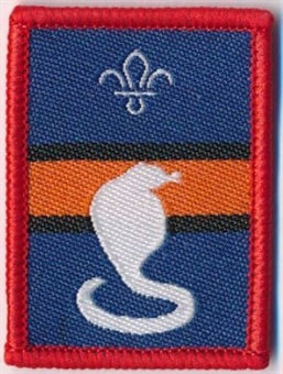 Patrol Section Badges