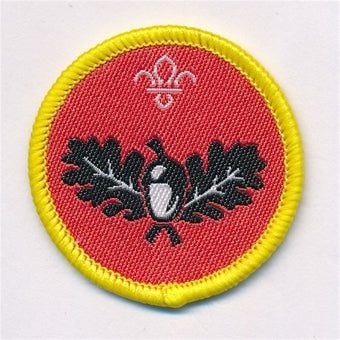 Cub Activity Badges