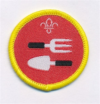Cub Activity Badges