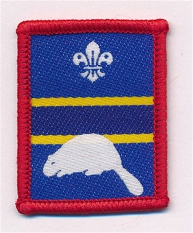 Patrol Section Badges