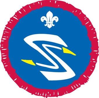 Scout Activity Badges