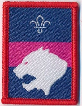 Patrol Section Badges