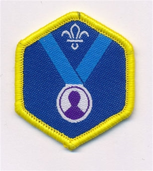 Cub Challenge Badges