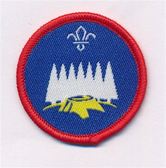 Scout Activity Badges