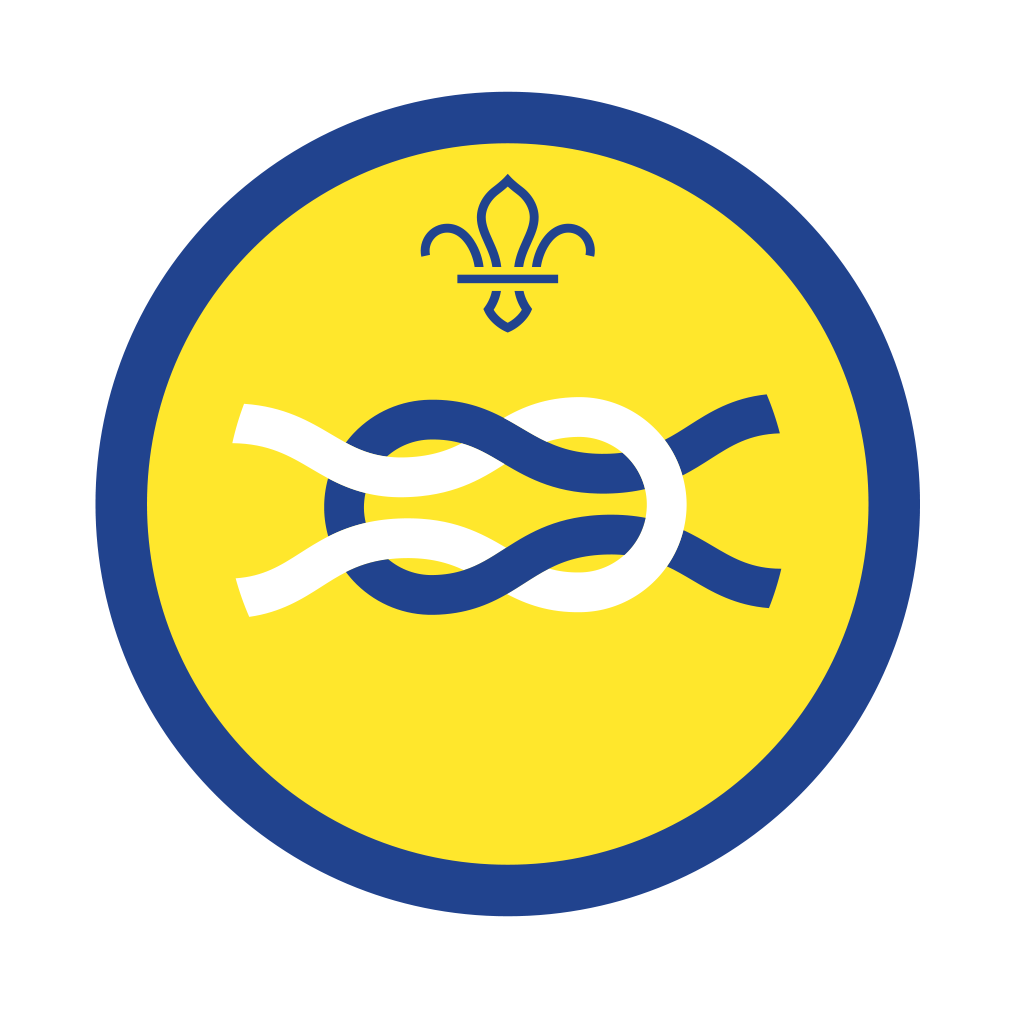Beaver Activity Badges