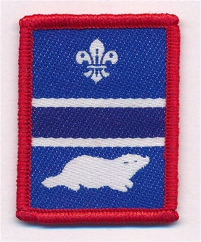 Patrol Section Badges