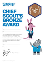 Load image into Gallery viewer, Chief Scout Award Certificates (pack of 10)
